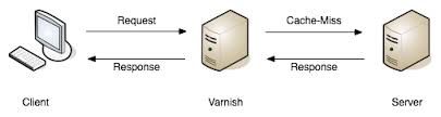 varnish-cache