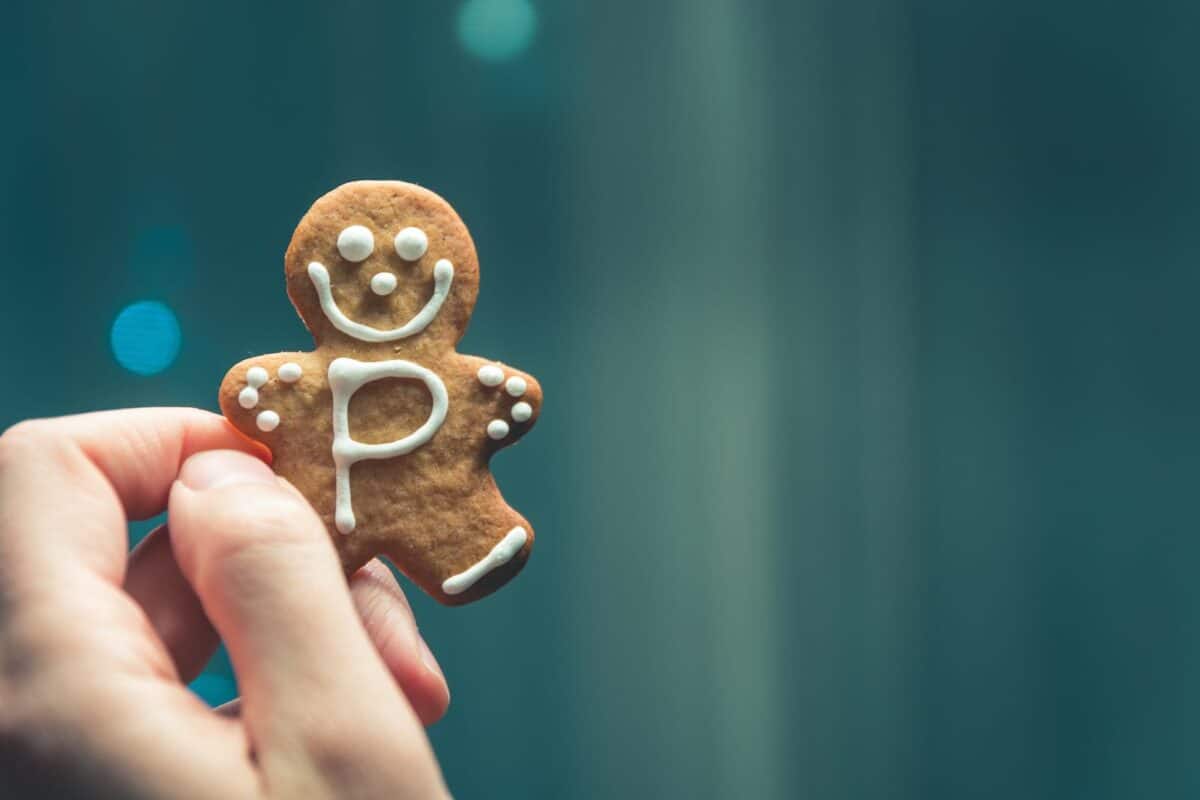 Youtube filmpjes cookie-vrij embedden in WordPress